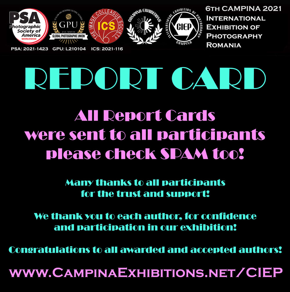 All REPORT CARDS have been sent to the authors - 6th CAMPINA 2021